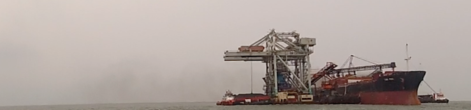 Crane activity